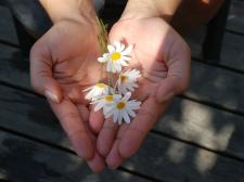 Voorkom verlies vrijstelling en schenk in 2016 al voor eigen woning