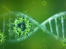 UPDATE De Regeling werktijdverkorting ivm coronavirus wordt gewijzigd !