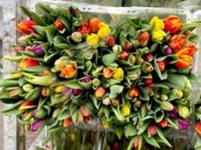 Bloemen voor nieuwe werknemer belast?